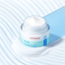 CELL FUSION C „LOW PH PHARRIER MOISTURE CREAM” DRĖKINANTIS VEIDO KREMAS-GELIS – Meilė odai